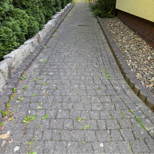 projekt bez nazwy (20)