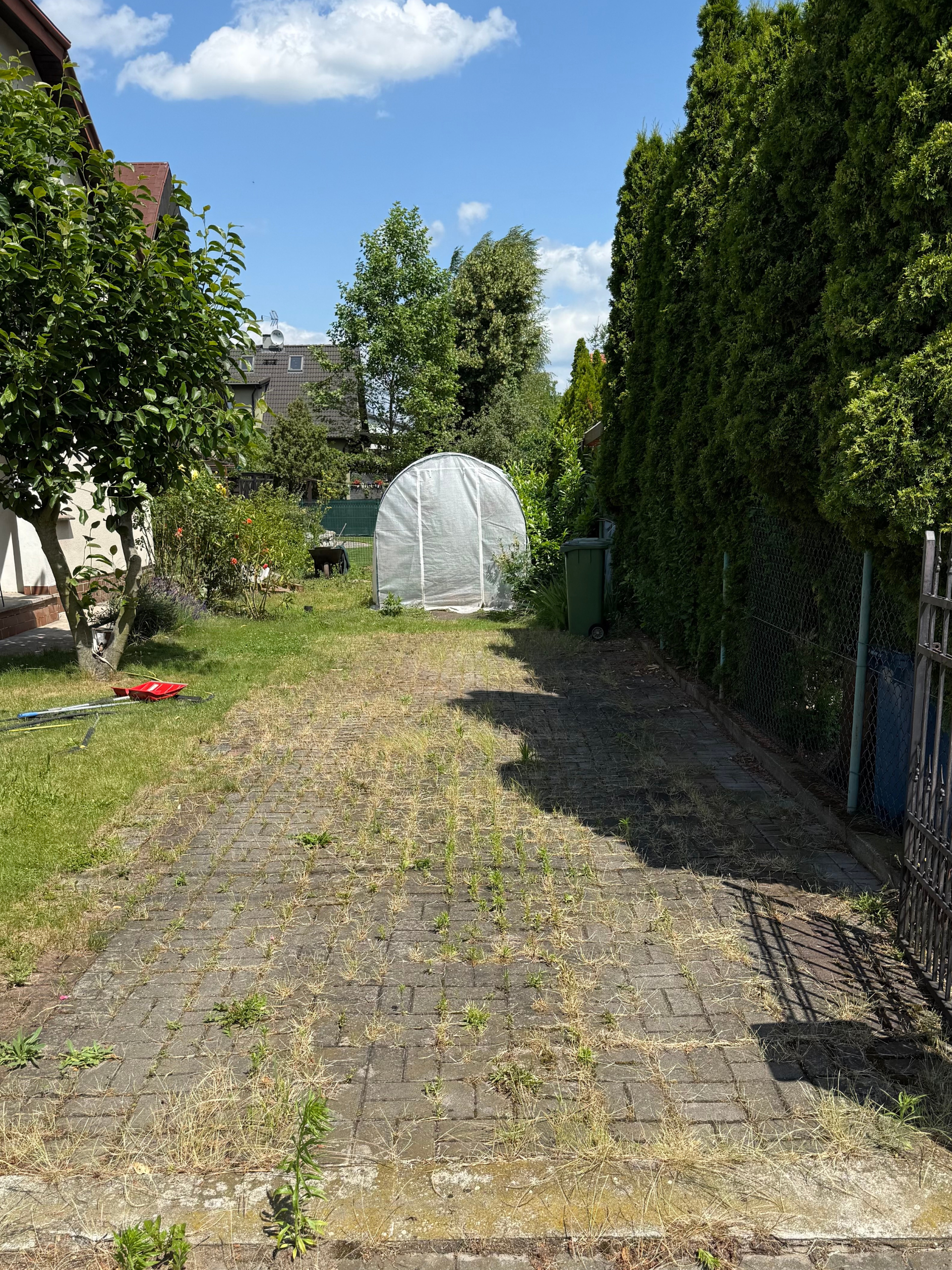 projekt bez nazwy (26)