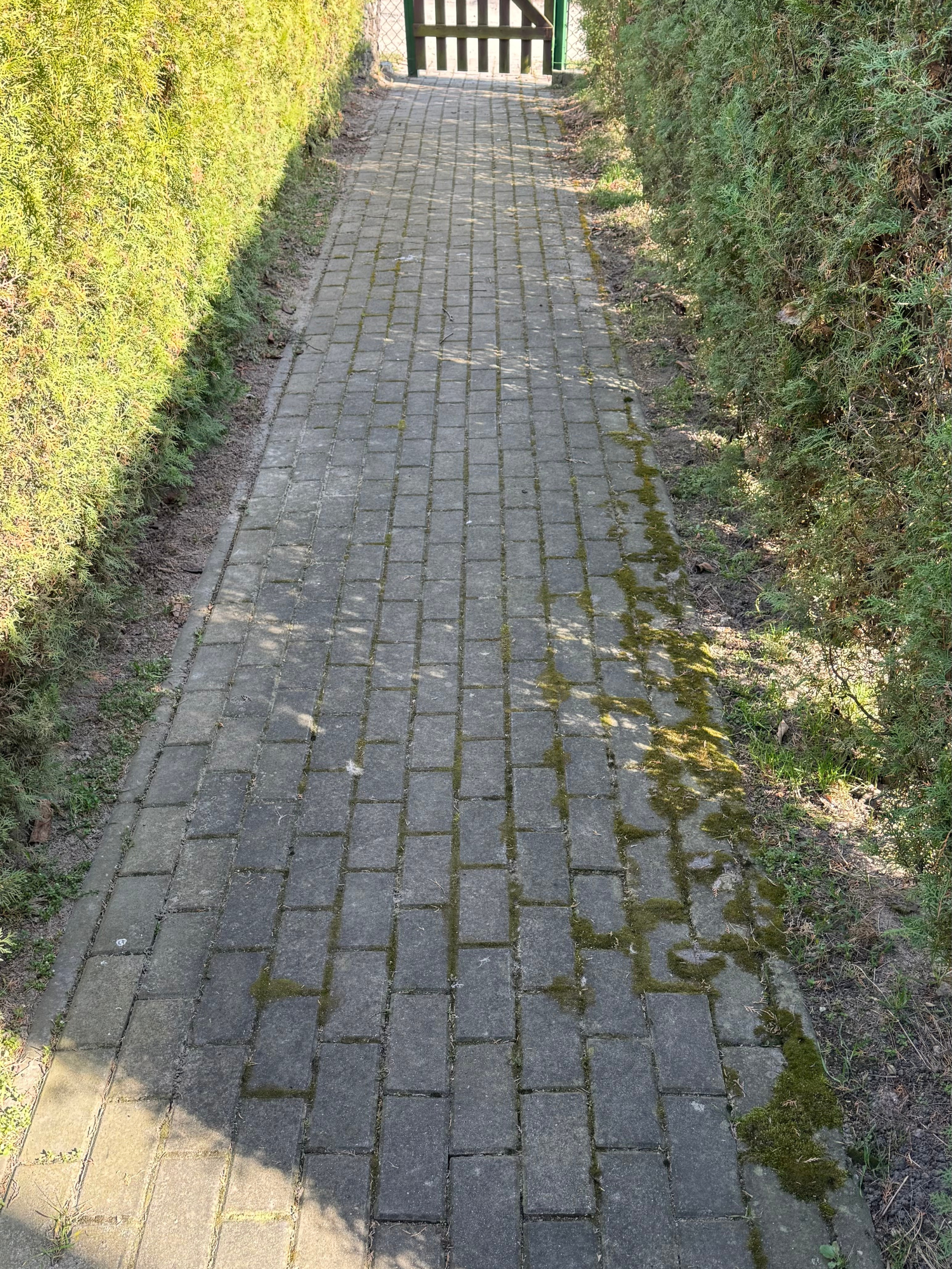 projekt bez nazwy (28)